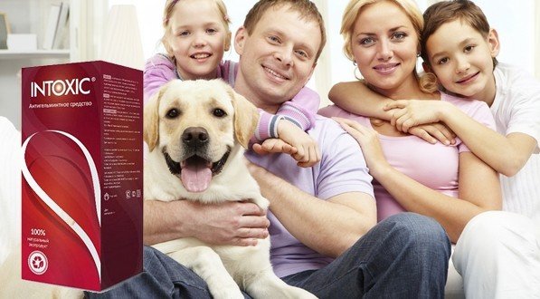 Intoxic миниатюра