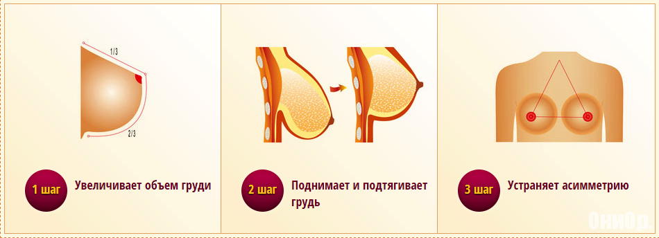 Le bustier результат