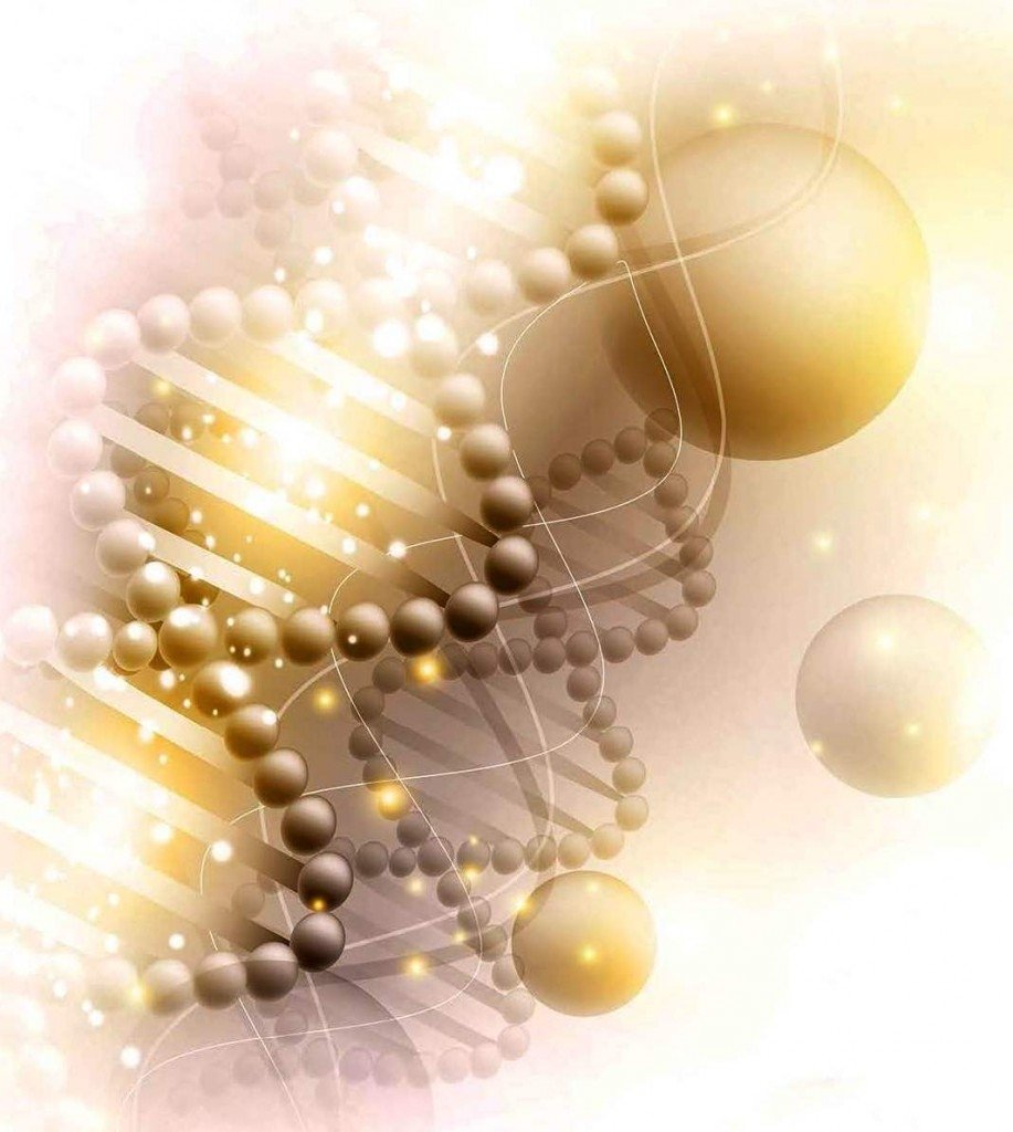 MaxiSize компоненты