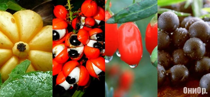 OneTwoSlim дневной концентрат