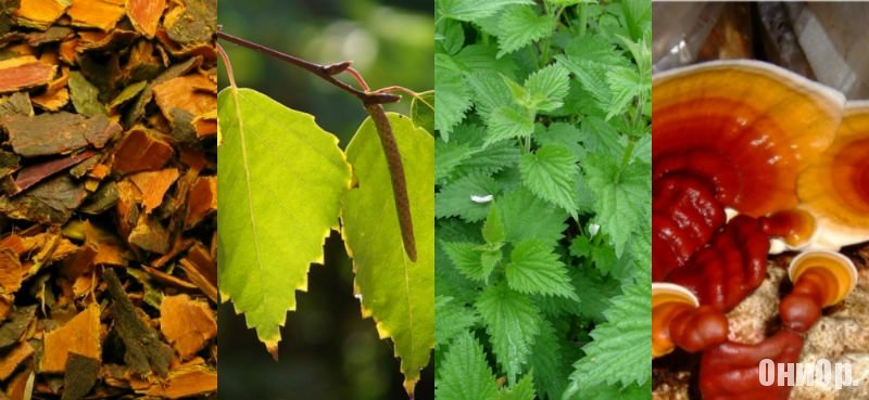 OneTwoSlim ночной концентрат