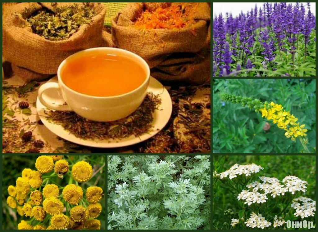 Монастырский антипаразитарный чай ингредиенты2