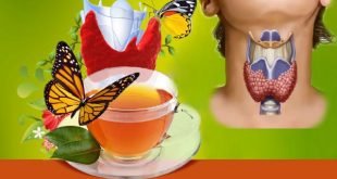 Монастырский чай для щитовидной железы