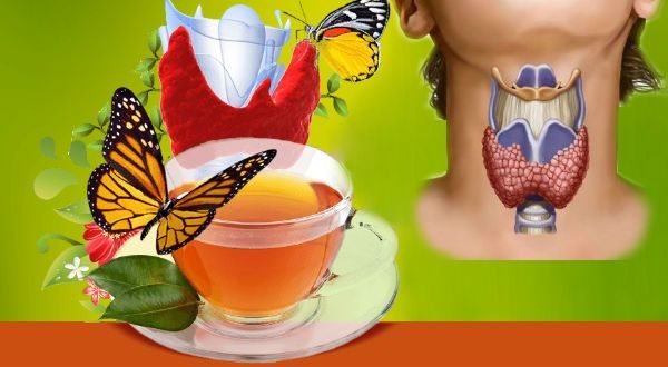 Монастырский чай для щитовидки