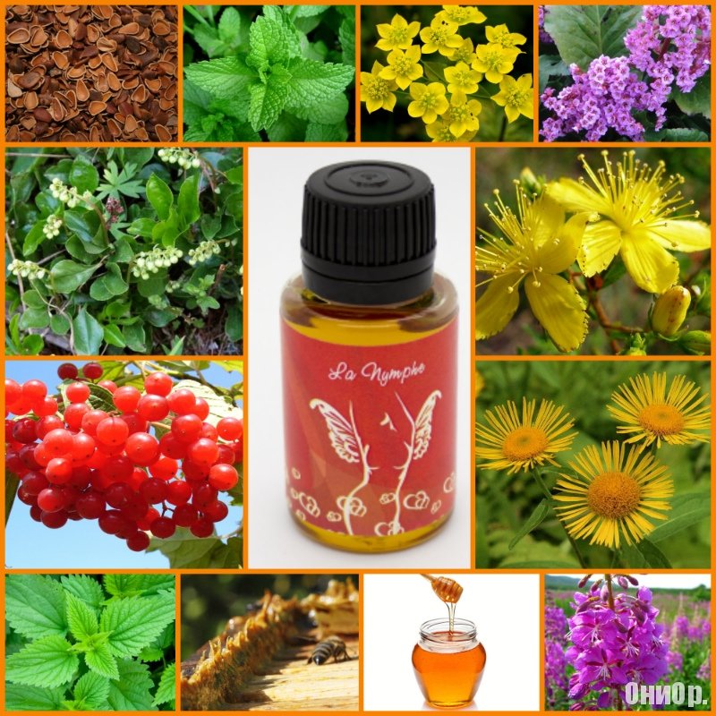 La Nymphe состав