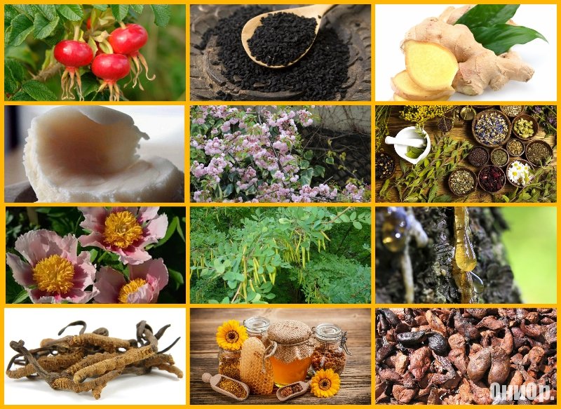 Immunetika состав