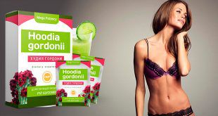 Hoodia gordonii — блокатор калорий для похудения